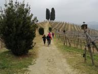 ALLENAMENTI NORDIC WALKING