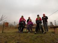 ALLENAMENTI NORDIC WALKING