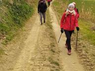 ALLENAMENTI DI NORDIC WALKING