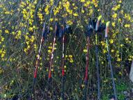 ALLENAMENTI DI NORDIC WALKING