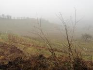 ALLENAMENTI DI NORDIC WALKING
