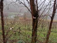 ALLENAMENTI DI NORDIC WALKING