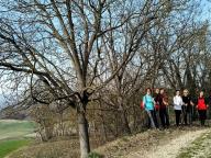 ALLENAMENTO DI NORDIC WALKING