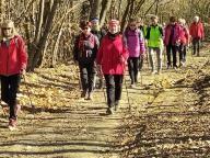 ALLENAMENTI DI NORDIC WALKING