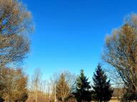 ALLENAMENTI DI NORDIC WALKING