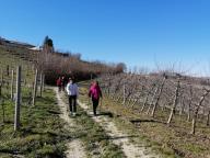 ALLENAMENTI DI NORDIC WALKING