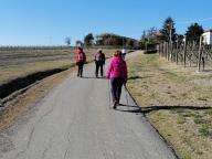 ALLENAMENTI DI NORDIC WALKING