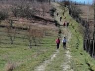 ALLENAMENTI DI NORDIC WALKING