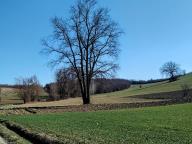 ALLENAMENTO DI NORDIC WALKING