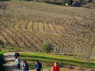 ALLENAMENTI DI NORDIC WALKING