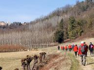 ALLENAMENTI DI NORDIC WALKING