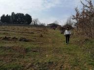ALLENAMENTI DI NORDIC WALKING