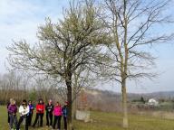 ALLENAMENTI DI NORDIC WALKING