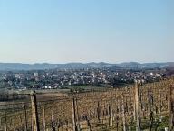 ALLENAMENTO DI NORDIC WALKING