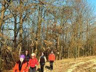 ALLENAMENTI DI NORDIC WALKING