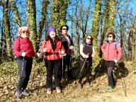 ALLENAMENTI DI NORDIC WALKING