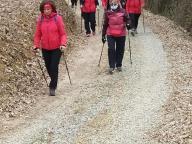 ALLENAMENTI DI NORDIC WALKING