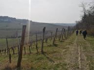 ALLENAMENTI DI NORDIC WALKING