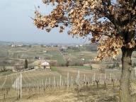 ALLENAMENTI DI NORDIC WALKING