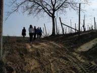 ALLENAMENTI DI NORDIC WALKING