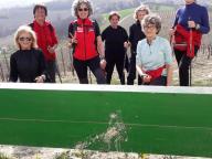 ALLENAMENTI DI NORDIC WALKING
