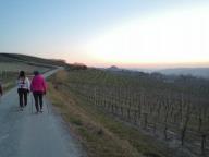 ALLENAMENTO DI NORDIC WALKING