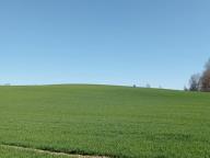 ALLENAMENTO DI NORDIC WALKING