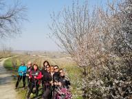 ALLENAMENTI DI NORDIC WALKING