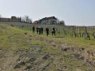 ALLENAMENTI DI NORDIC WALKING