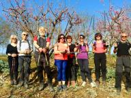 ALLENAMENTI DI NORDIC WALKING
