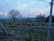 ALLENAMENTI DI NORDIC WALKING