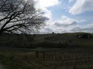 ALLENAMENTI DI NORDIC WALKING
