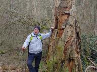ALLENAMENTI DI NORDIC WALKING