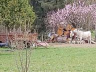 ALLENAMENTI DI NORDIC WALKING