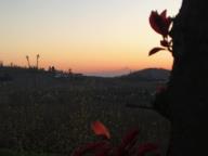 ALLENAMENTI DI NORDIC WALKING