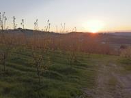 ALLENAMENTI DI NORDIC WALKING