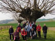 ALLENAMENTI DI NORDIC WALKING