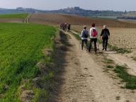 ALLENAMENTI DI NORDIC WALKING