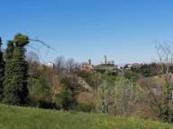 ALLENAMENTI DI NORDIC WALKING