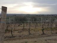ALLENAMENTI DI NORDIC WALKING