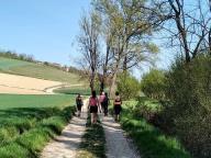 ALLENAMENTO DI NORDIC WALKING
