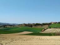 ALLENAMENTO DI NORDIC WALKING