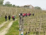ALLENAMENTI DI NORDIC WALKING