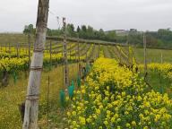 ALLENAMENTI DI NORDIC WALKING
