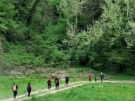 ALLENAMENTI DI NORDIC WALKING