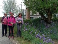 ALLENAMENTI DI NORDIC WALKING