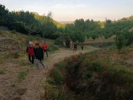 ALLENAMENTI DI NORDIC WALKING