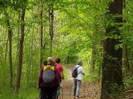 ALLENAMENTI DI NORDIC WALKING