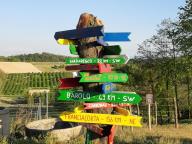 ALLENAMENTI DI NORDIC WALKING