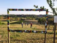ALLENAMENTI DI NORDIC WALKING